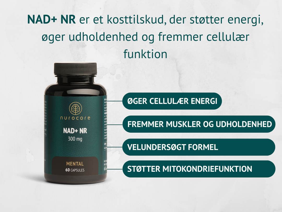 NAD+ NR