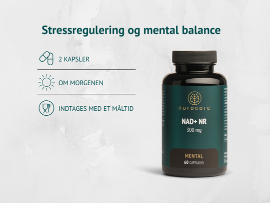 NAD+ NR